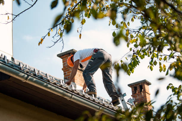 Best Roof Waterproofing Services  in Bristol, WI