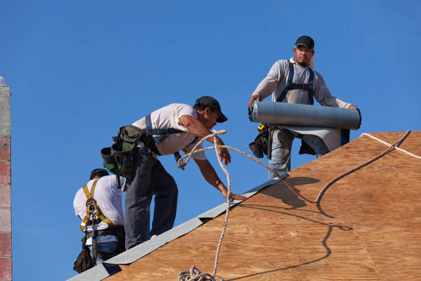 Best Roof Repair Specialists  in Bristol, WI